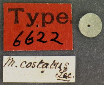 Media type: image;   Entomology 6622 Aspect: labels
